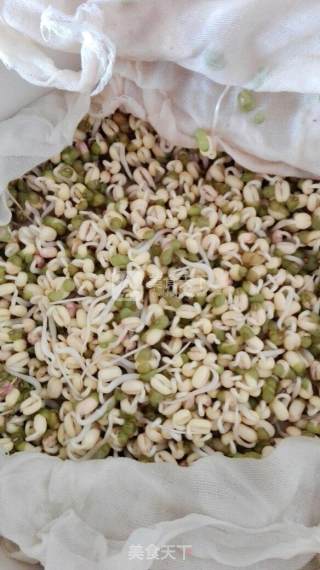 Spontaneous Mung Bean Sprouts recipe