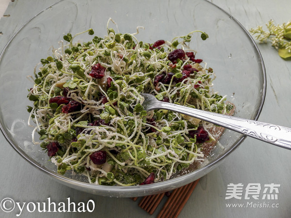 Radish Sprouts and Cranberry Salad recipe