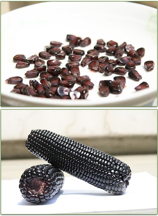 Black Corn Lily Minced Meat Porridge recipe