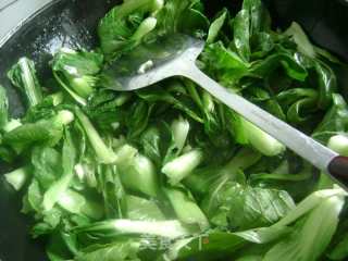 Garlic Shanghai Green recipe