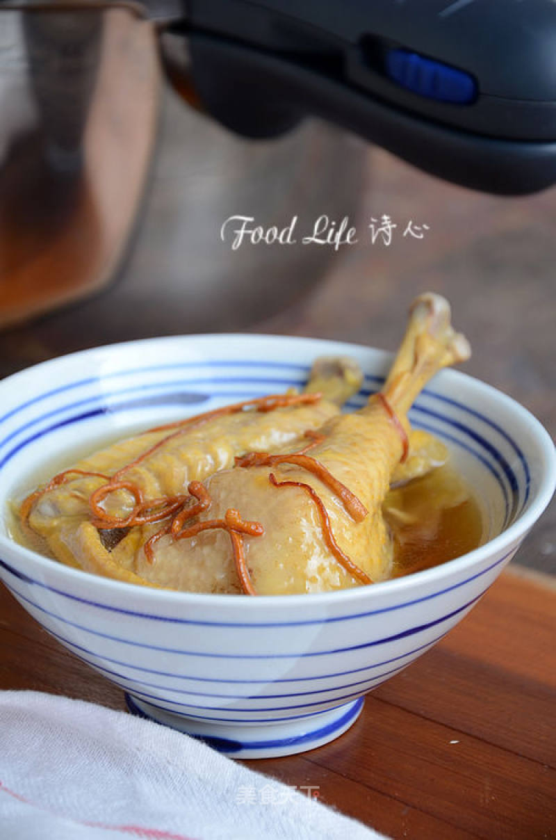 [cordyceps Chicken Soup]--- A Mild and Nourishing Soup in Winter recipe