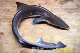 "golden Hook Ginkgo Fishing for Eastern Shark" Family Banquet Braised Seafood Dishes recipe