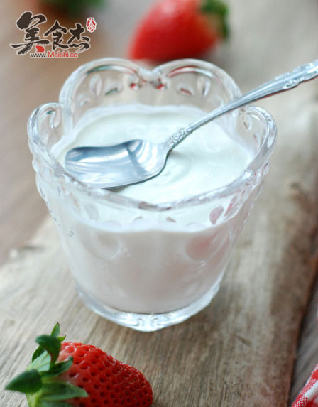 Homemade Sour Cream recipe