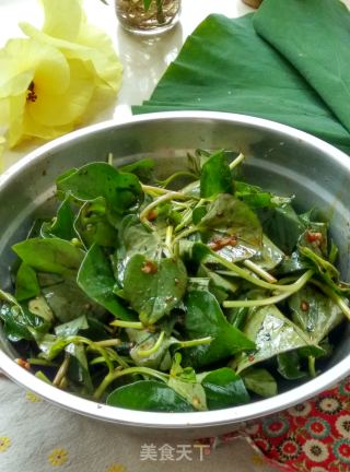 【sichuan】houttuynia Cordata recipe