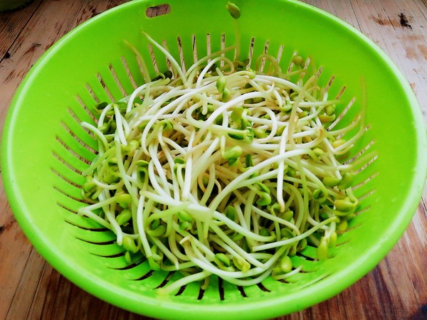 Bean Sprouts Fried Seaweed Shreds recipe