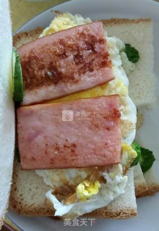 Easy White Bread recipe