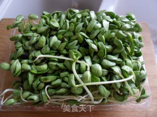 Garlic Black Bean Sprouts recipe