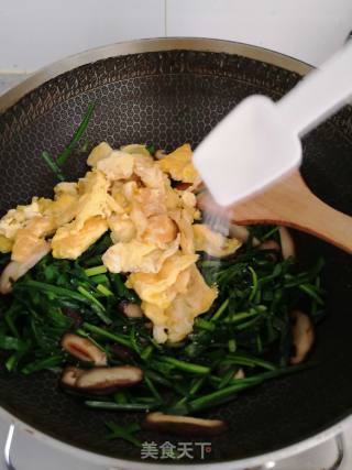 Scrambled Eggs with Chives and Mushrooms recipe