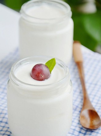 Homemade Plain Yogurt recipe