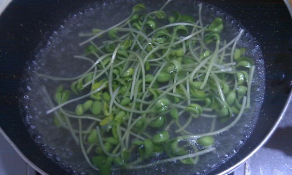 Yunsi Black Bean Sprouts recipe