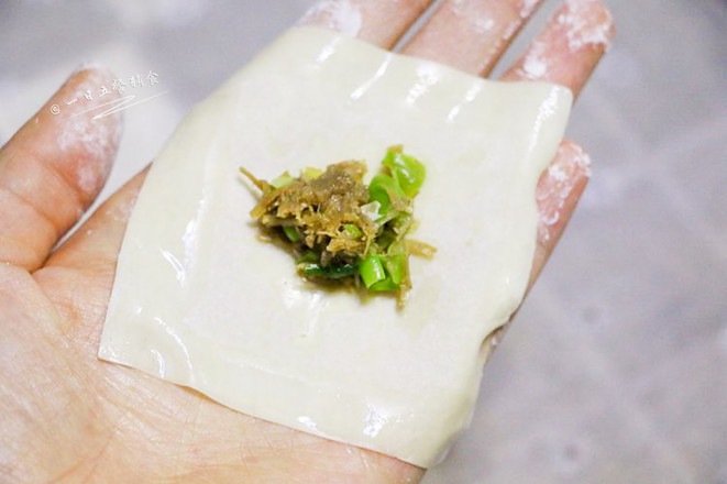 Beef and Bean Wonton recipe