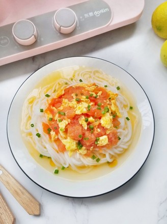 Delicious and Smooth Tomato and Egg Konjac Noodles, I Still Want to Eat It recipe