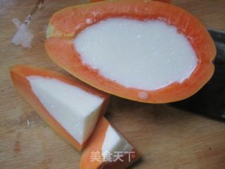 Papaya Yogurt recipe