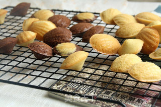 Small Figure and Big Belly: Madeleine Cake recipe