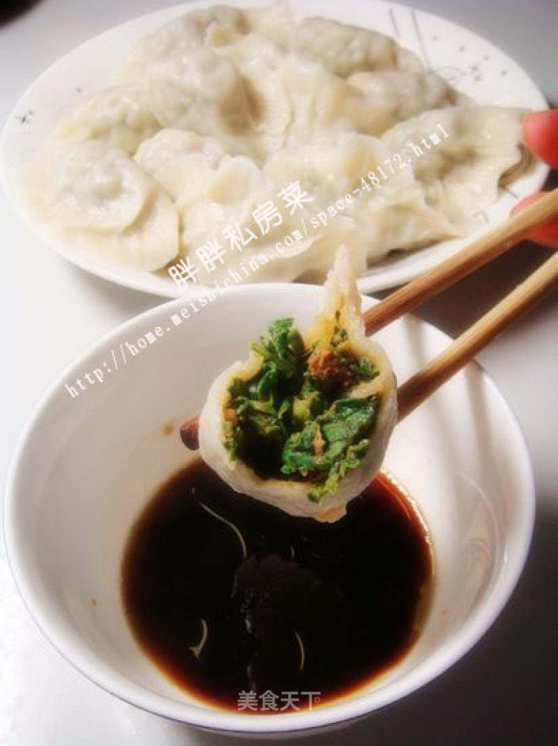 Pork Noodle Dish Dumplings recipe