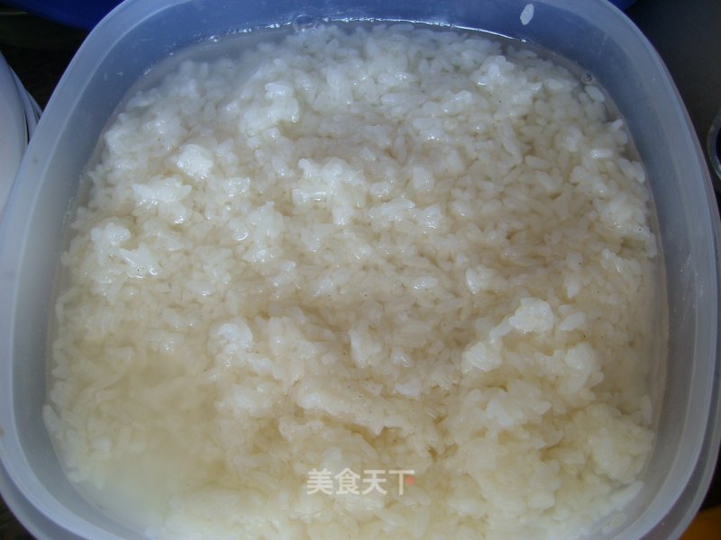 Make Your Own Sweet Rice Wine recipe