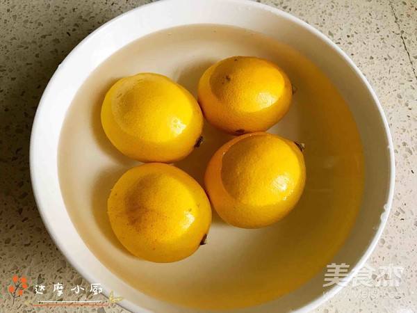 Homemade Lemon Enzyme recipe