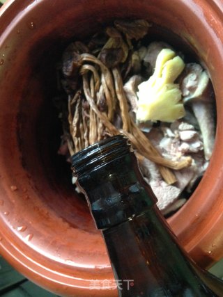 【stewed Pigeon with Tea Tree Mushroom】 recipe