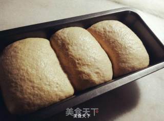 Nutritious Whole Grains~whole Wheat Toast recipe