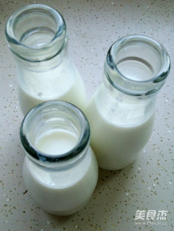 Homemade Old Yogurt recipe