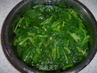 Spicy Garlic Spinach Dumpling recipe