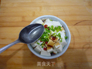 Scallion and Tender Tofu recipe
