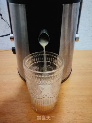 Honeydew Apple Juice recipe