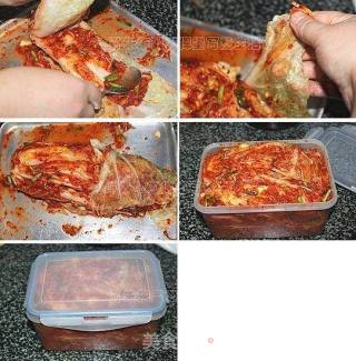 Homemade Kimchi recipe