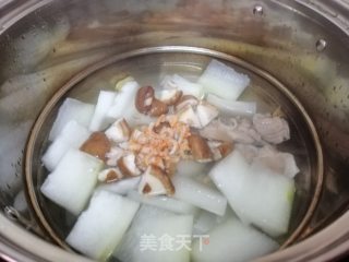 Winter Melon and Shrimp Soup recipe