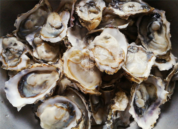 Roasted Oysters recipe