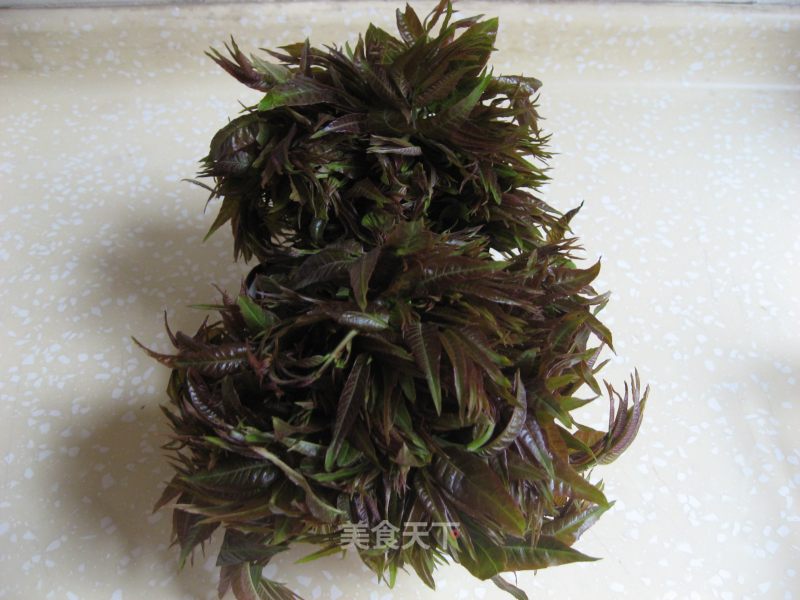 Keep The Fragrance of Spring-toon Preservation Method recipe