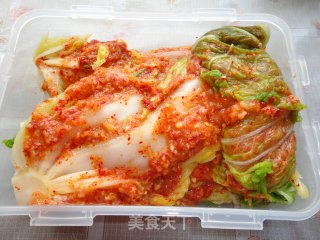 Learn to Make Authentic "korean Spicy Cabbage" recipe