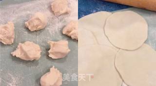 Fried Shrimp and Pork Dumplings recipe