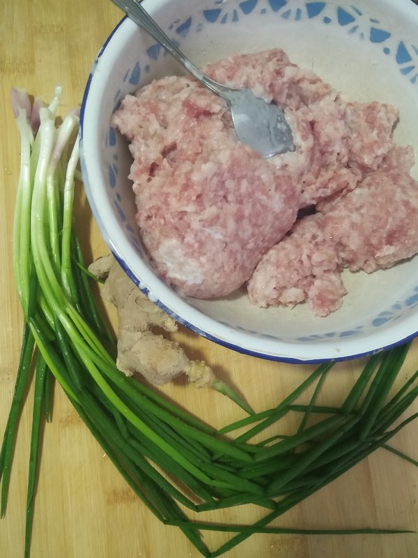 Leek Side Dumplings recipe