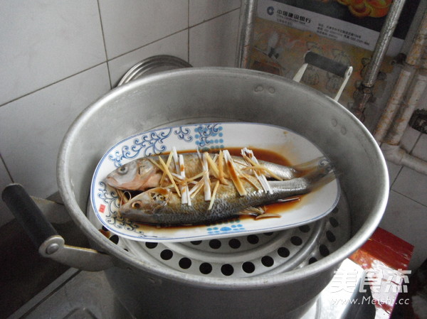 Steamed Chinese Fish recipe