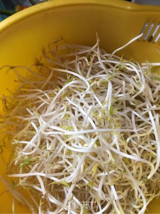 Vegetarian Fried Bean Sprouts recipe