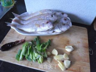 Homemade Stewed Sea Fish recipe