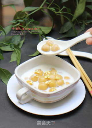 Milk Sweet-scented Osmanthus Pumpkin Balls---the Sweetness of Autumn recipe