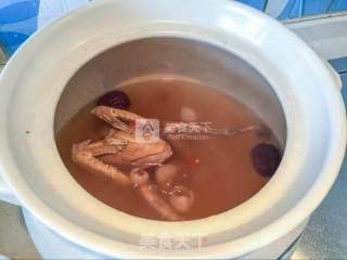 Red Dates, Longan, Wolfberry and Pigeon Soup recipe