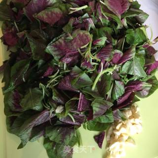 Garlic Red Amaranth recipe