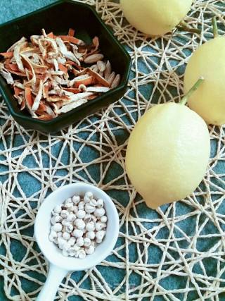 Lemon Balm that is Popular in The Circle of Friends recipe