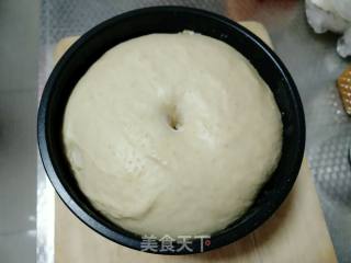 Whole Wheat Bread recipe