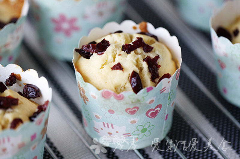 Cranberry Yogurt Muffin recipe