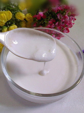 Homemade Yogurt recipe