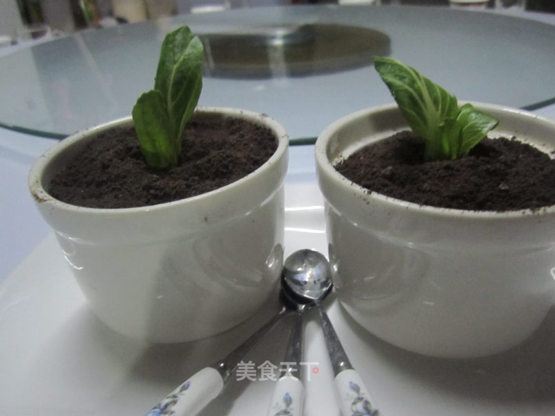Small Potted Plants recipe