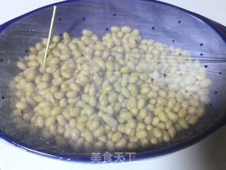 Homemade Soy Natto recipe