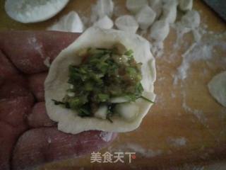 Fennel Seedlings Pork Dumplings recipe