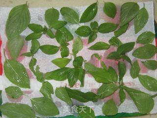 Basil Vanilla Oil recipe