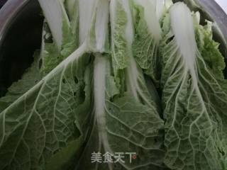 Cabbage and Mushroom Dumplings recipe