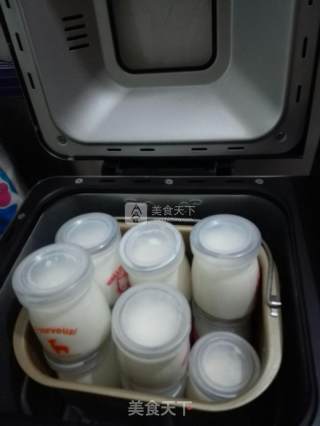 Homemade Old Yogurt recipe